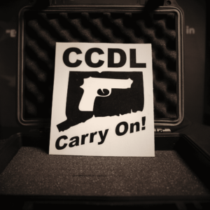 Large Vinyl Cut Decals (2 Pack)